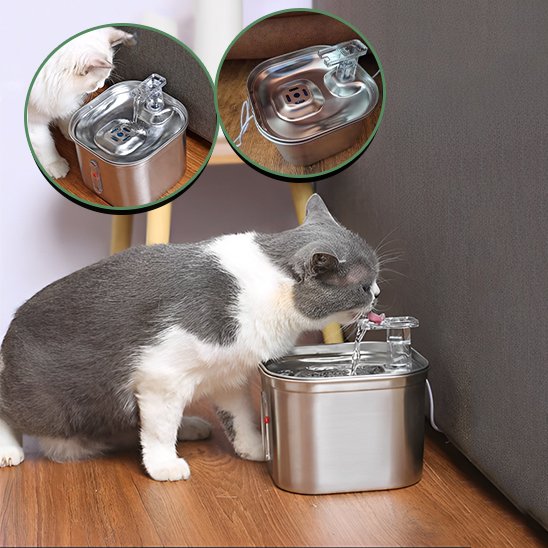 Fontaine a eau chat | Prevention Urinaire