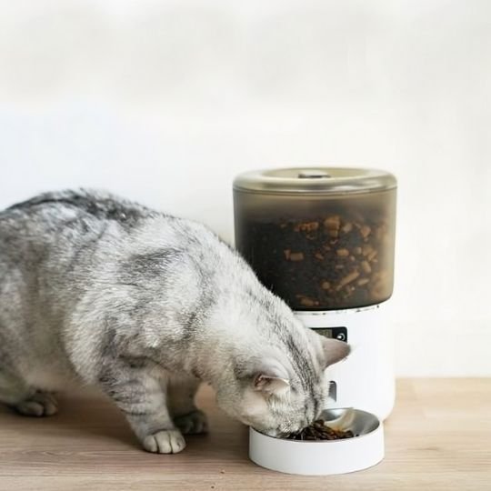 Distributeur automatique croquettes chat | FéliTimer