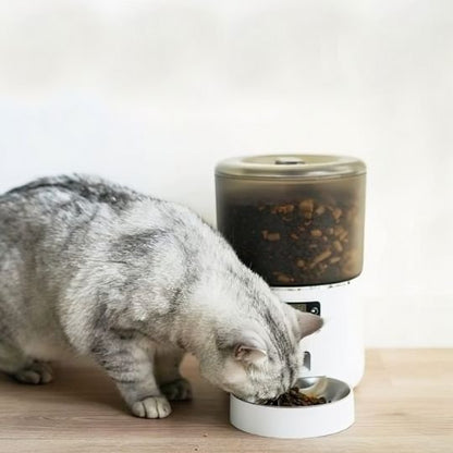 Distributeur automatique croquettes chat | FéliTimer