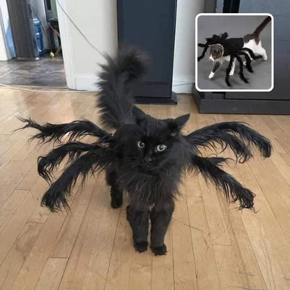Déguisement pour chat | StarFélin