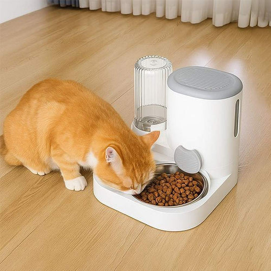 Distributeur de croquettes blanc avec couvercle ouvert et réservoir, bols pour croquettes