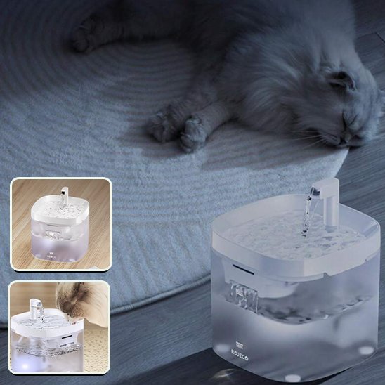 Fontaine à eau chat | Florale