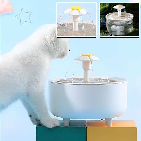 Fontaine à eau chat | Florale