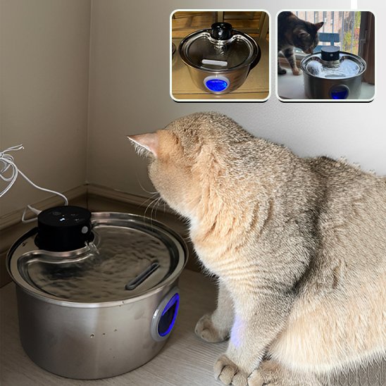 Fontaine a eau chat | Fraîcheur Féline