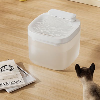 Fontaine eau chat | Hydro-Vital
