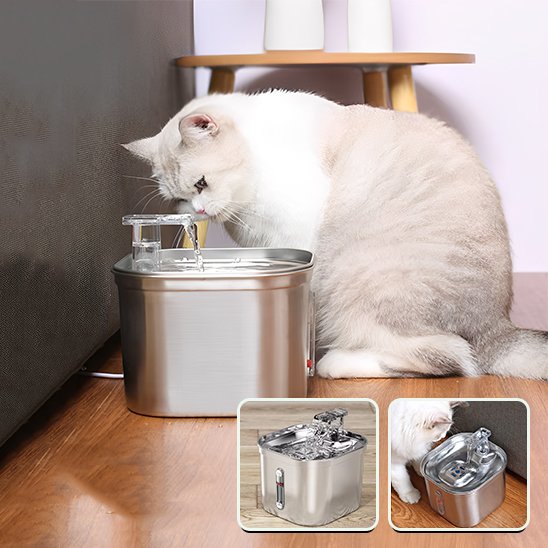 Fontaine a eau chat | Prevention Urinaire