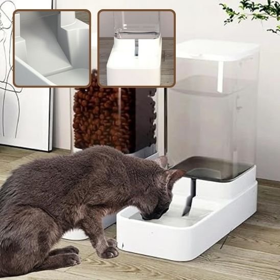 Distributeur de croquettes pour chat | AutoFeed
