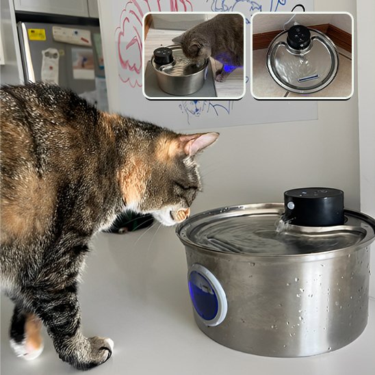 Fontaine a eau chat | Fraîcheur Féline
