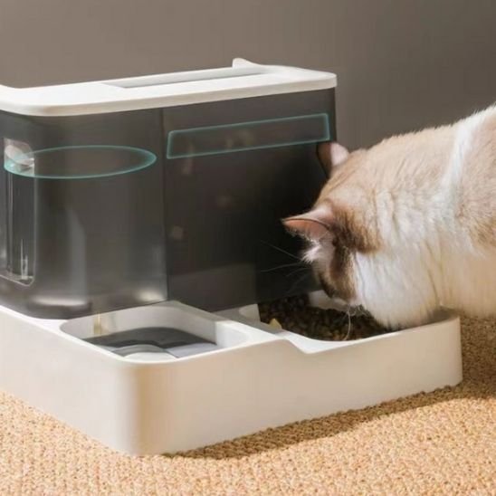 Distributeur de croquettes pour chat | Intelligent