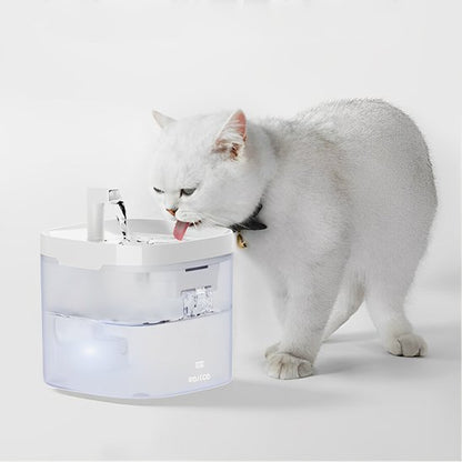 Fontaine à eau chat | Florale