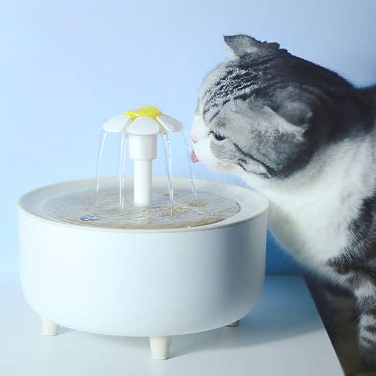 Fontaine à eau chat | Florale