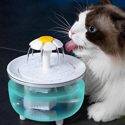 Fontaine à eau chat | Florale