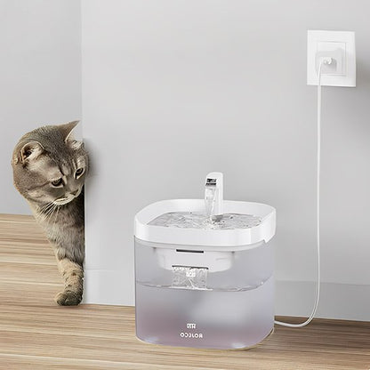 Fontaine à eau chat | Florale