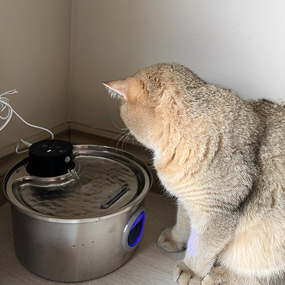 Fontaine a eau chat | Fraîcheur Féline