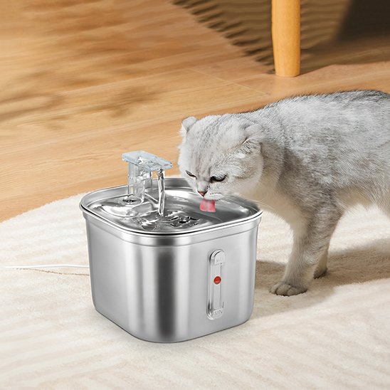 Fontaine a eau chat | Prevention Urinaire