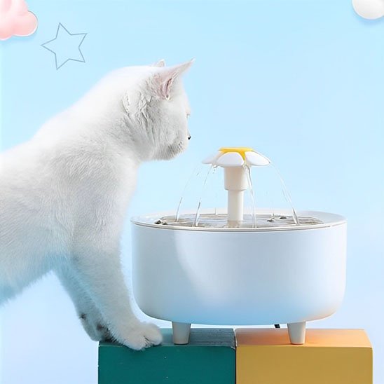 Fontaine à eau chat | Florale