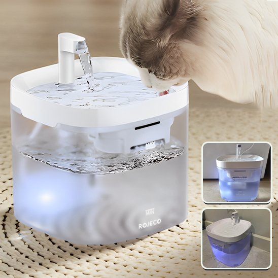Fontaine à eau chat | Florale