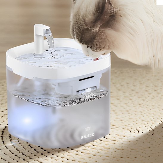 Fontaine à eau chat | Florale