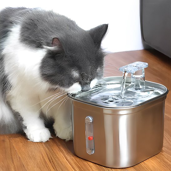Fontaine a eau chat | Prevention Urinaire