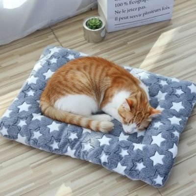 Tapis chat etoile