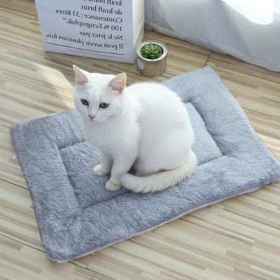 Tapis chat gris