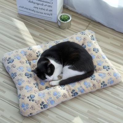 Tapis chat patte de chat beige/bleu