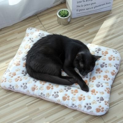 Tapis chat patte de chat blanc/marron
