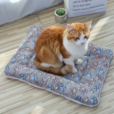 Tapis chat patte de chat  gris