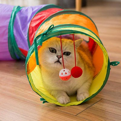 Tunnel pour chat Coloris arc-en-ciel